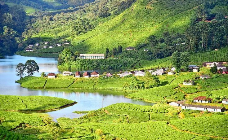 Top 10 Things to Do in Munnar for Couples