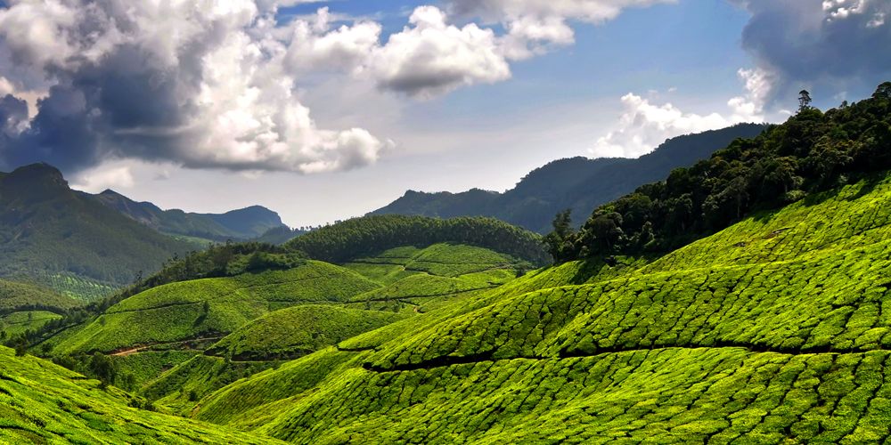 Digital Detox in Munnar