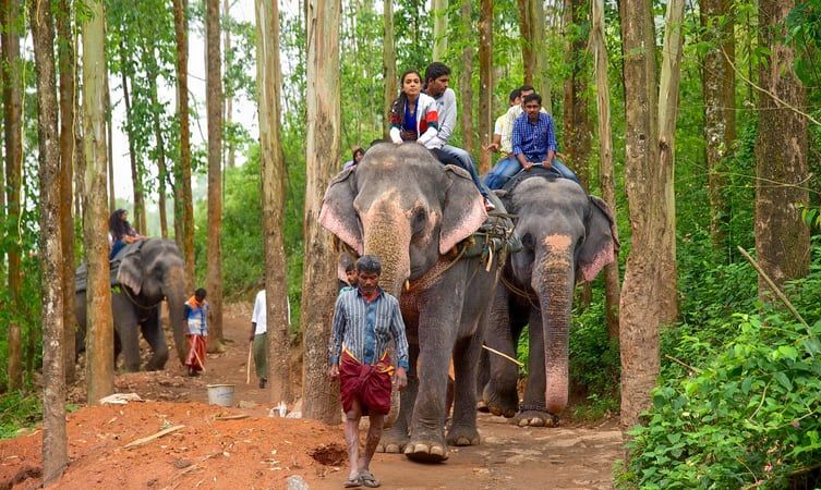 Carmelagiri Elephant Park