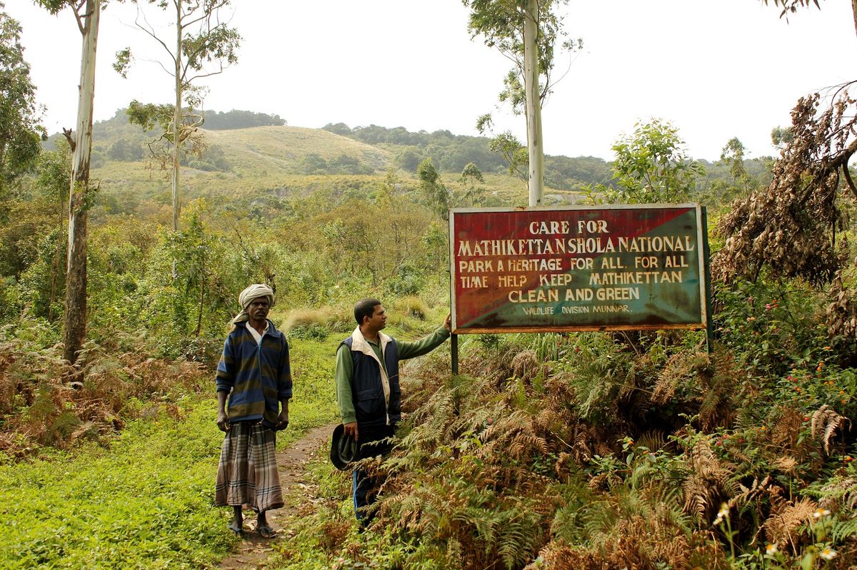 Mathikettan Shola National Park