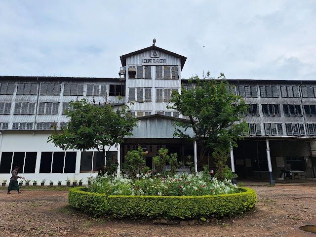 Tea Museum